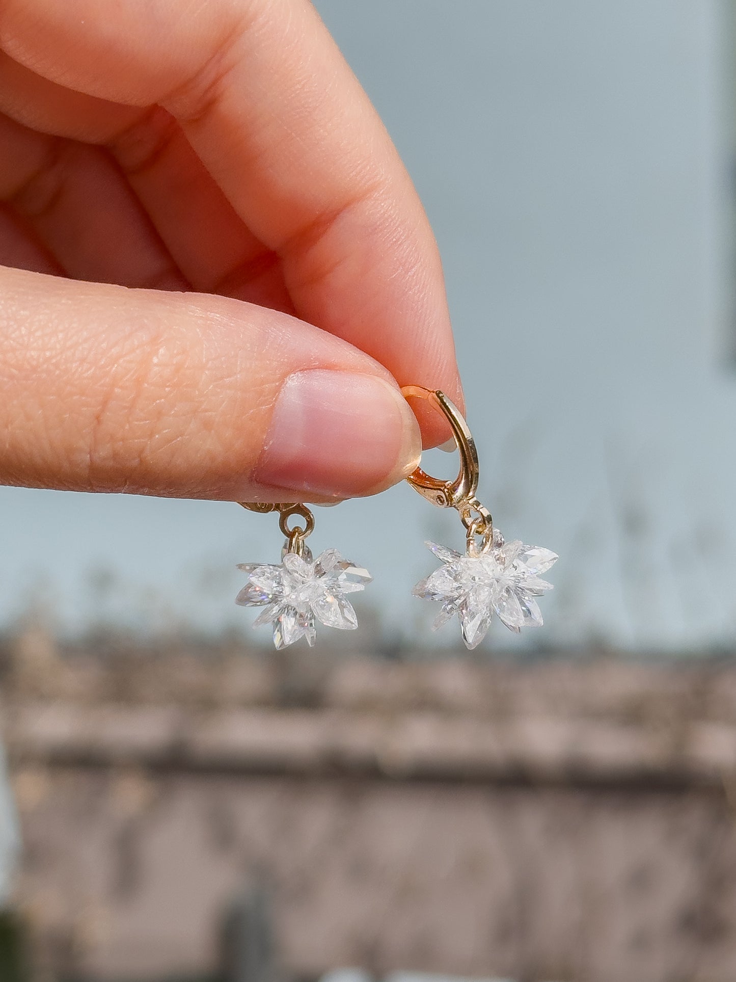 Sparkly Cluster Earrings